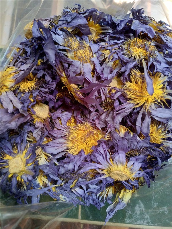Dried Blue Lotus Herbal Tea 100 g