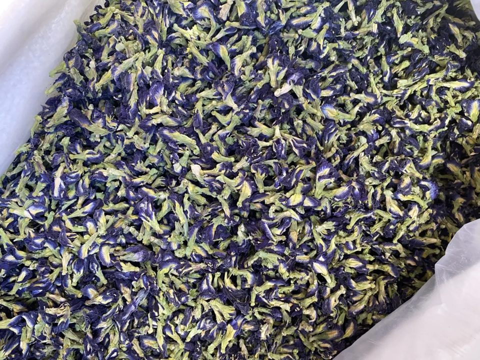 Butterfly Pea Flower Tea 100g Thai Dried Flower Tea
