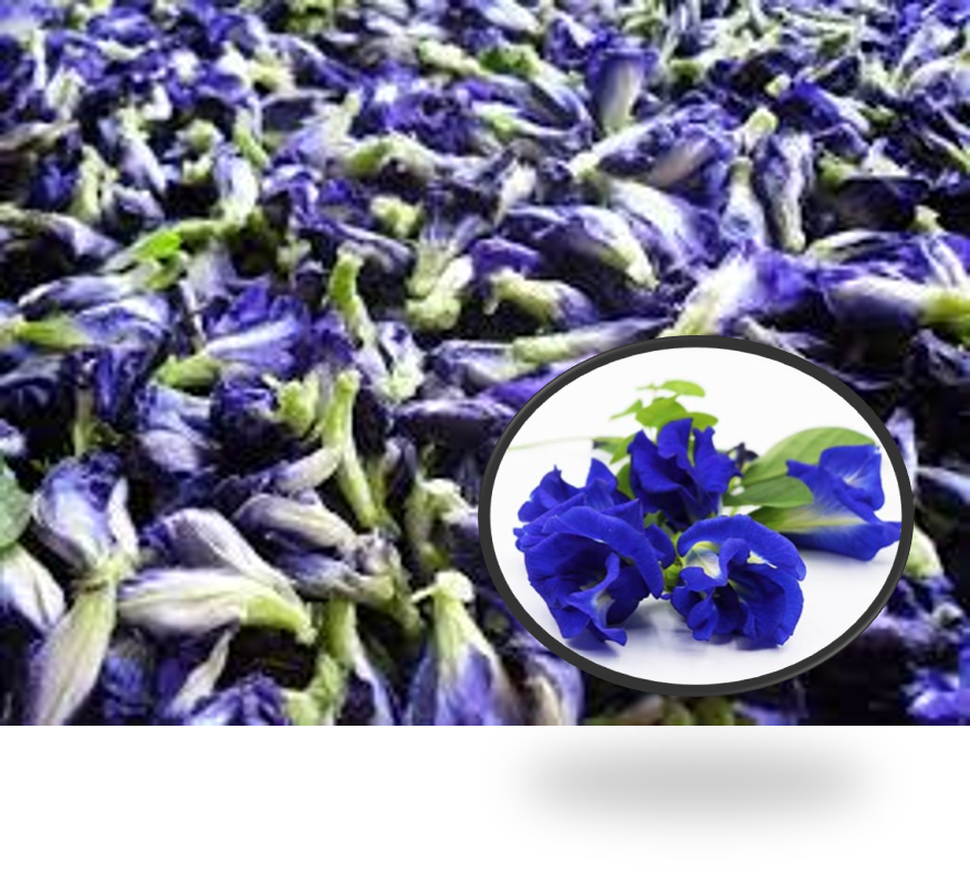 Butterfly Pea Flower Tea 100g Thai Dried Flower Tea