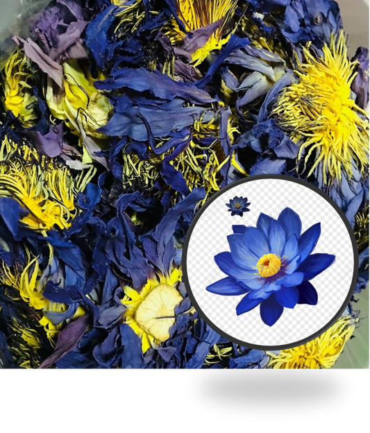 Dried Blue Lotus Herbal Tea 100 g