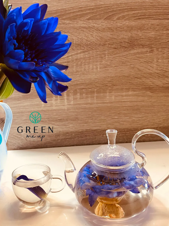 Dried Blue Lotus Herbal Tea 100 g