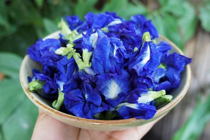 Butterfly Pea Flower Tea 100g Thai Dried Flower Tea